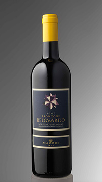 Bronzone 2007_0