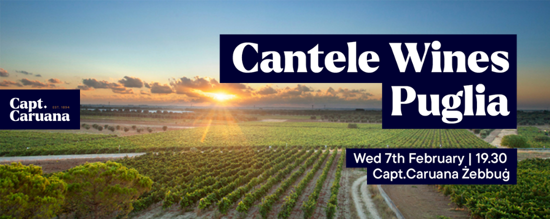 Cantele wines - Wine Tasting